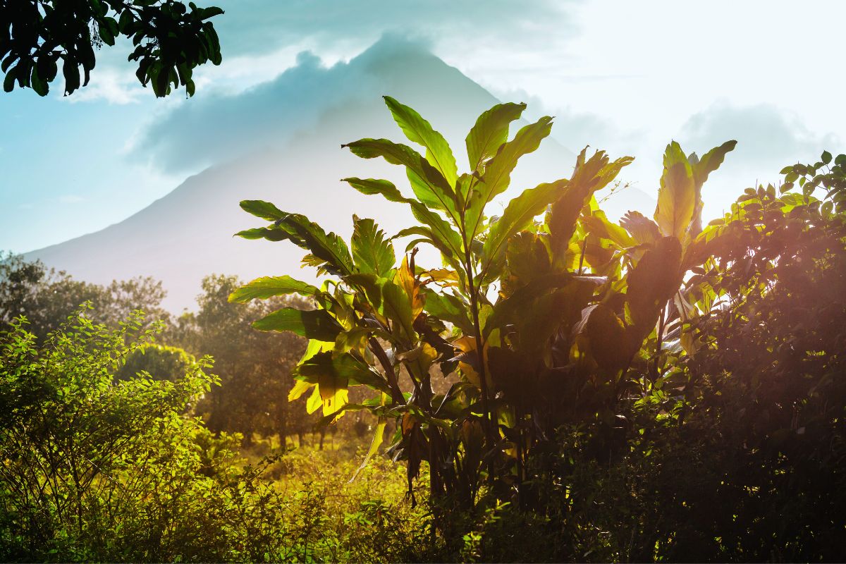 Volcán Arenal en Costa Rica con su cono perfecto rodeado de selva tropical